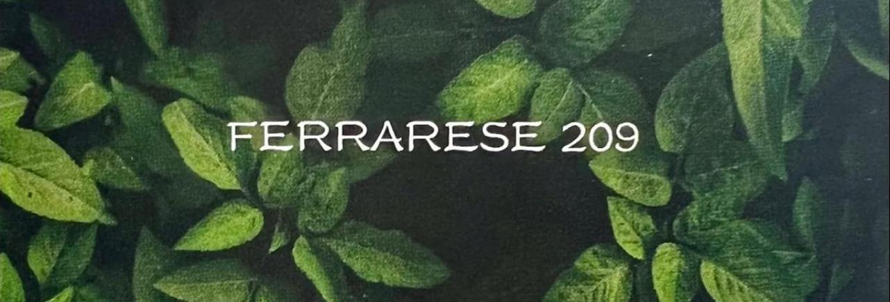 ボローニャFerrarese209アパートメント エクステリア 写真